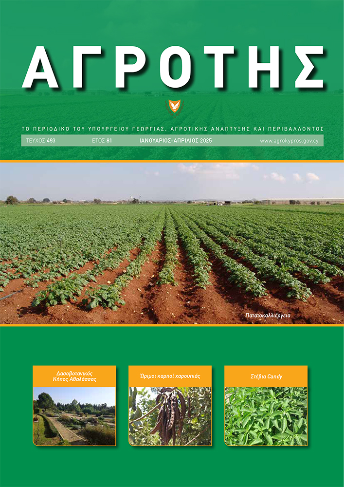 publication_image